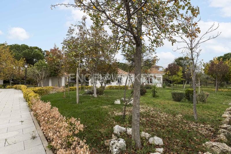 Foto 755956e1-759d-4d9f-b664-b4cf9cff4153. Casale con riscaldamento parcheggio piscina in Griñón