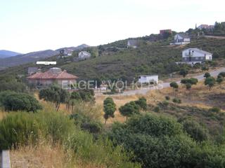 Terreny residencial a Torremocha de Jarama. Magnífico terreno en torremocha del jarama
