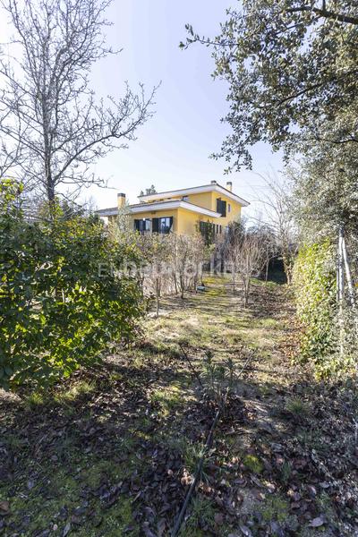 Foto 57c9cc2b-f3c9-42ca-b976-834887679016. Maison avec chauffage parking piscine dans Ciudalcampo