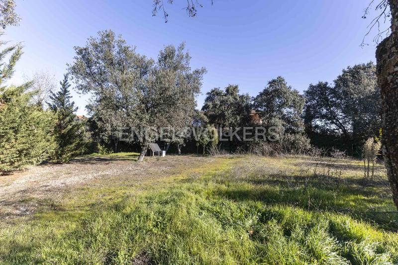 Foto e5f43637-a52e-4c2d-813b-ea184078cc39. Maison avec chauffage parking piscine dans Ciudalcampo