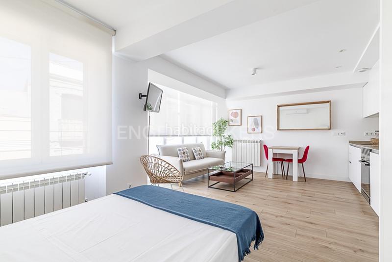 Foto ae8a38a5-011d-4448-9857-e4773a7045aa. Alquiler apartamento luminoso estudio en calle limonero en alquiler en Madrid