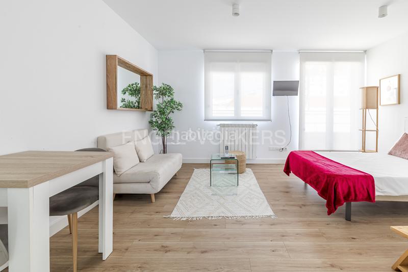 Foto 044dff45-2b6b-406d-b861-b687b68f861d. Alquiler apartamento luminoso estudio con amplia terraza en calle limonero en alquiler en Madrid
