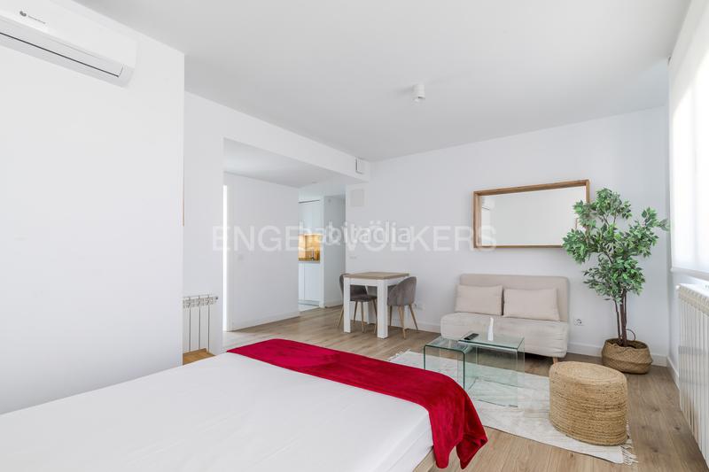 Foto 7fde183b-d44e-48be-a63e-5f9b62528bbb. Alquiler apartamento luminoso estudio con amplia terraza en calle limonero en alquiler en Madrid