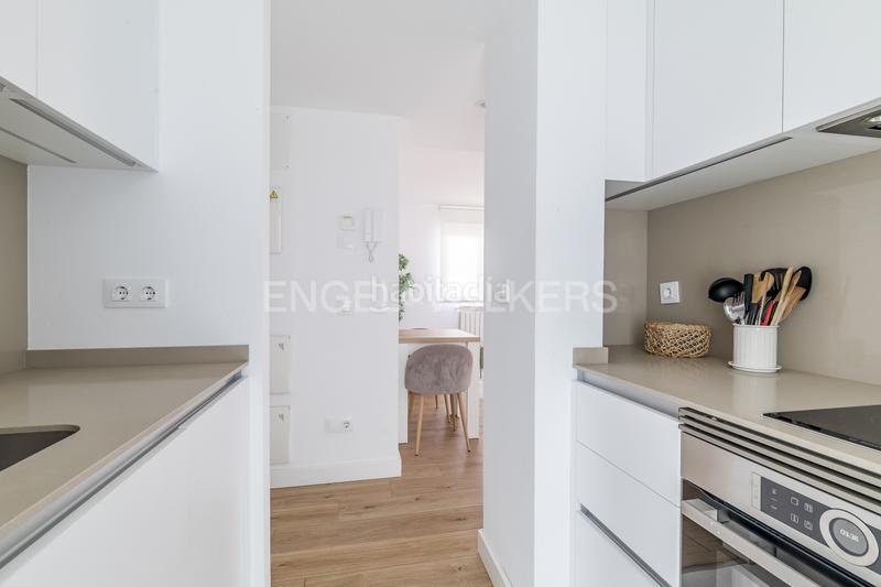 Foto b6bc2b2f-37ab-41ef-b72c-6f654c9572c0. Alquiler apartamento luminoso estudio con amplia terraza en calle limonero en alquiler en Madrid