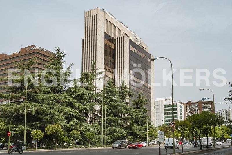 Foto bc1f64e8-d493-451d-b10b-7b3d303755e3. Alquiler apartamento luminoso estudio con amplia terraza en calle limonero en alquiler en Madrid