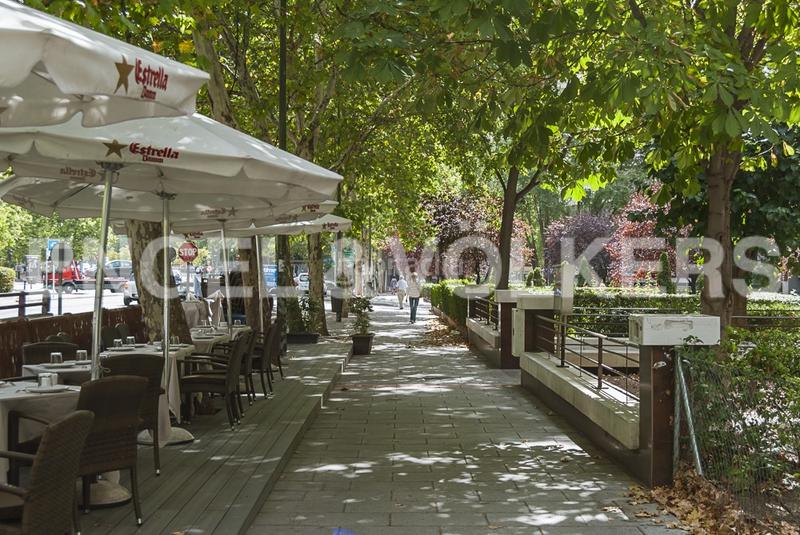 Foto d86b2a01-6e1f-47b4-b71d-a4c4a06c6a9a. Alquiler apartamento luminoso estudio con amplia terraza en calle limonero en alquiler en Madrid