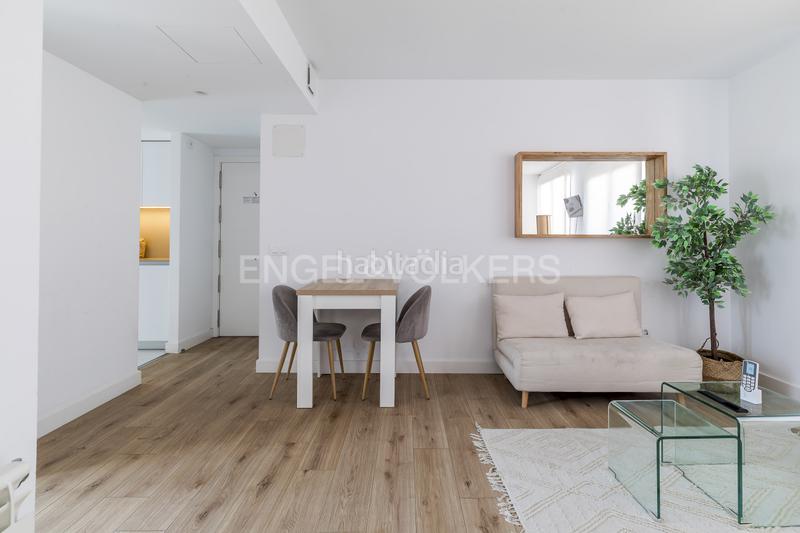 Foto ed4caaae-6dad-4e77-8a40-33f1f6c5b49f. Alquiler apartamento luminoso estudio con amplia terraza en calle limonero en alquiler en Madrid