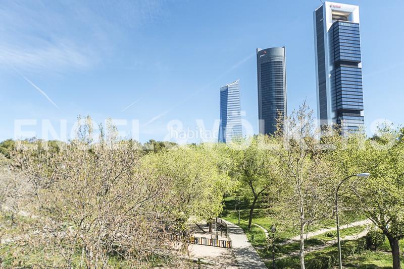 Foto fb8a0b37-992b-4372-ac8d-ef23c2675502. Alquiler apartamento luminoso estudio con amplia terraza en calle limonero en alquiler en Madrid