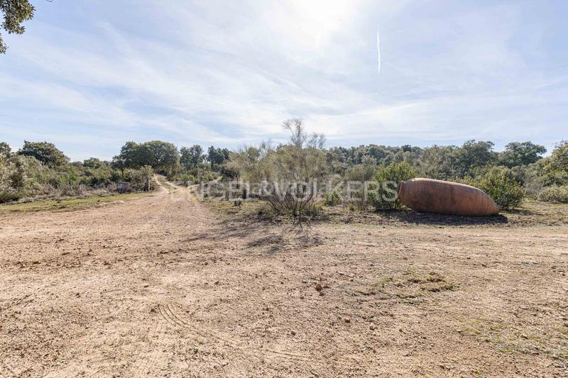 Foto 96a0fdd5-7142-40e0-a7fb-826d6509e8ae. Mas avec chauffage parking dans Pino Alto-Navarredonda Valdemorillo