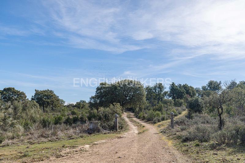 Foto 979c1e27-a9d0-4ac3-bf01-1fb59f7d6ffd. Mas avec chauffage parking dans Pino Alto-Navarredonda Valdemorillo