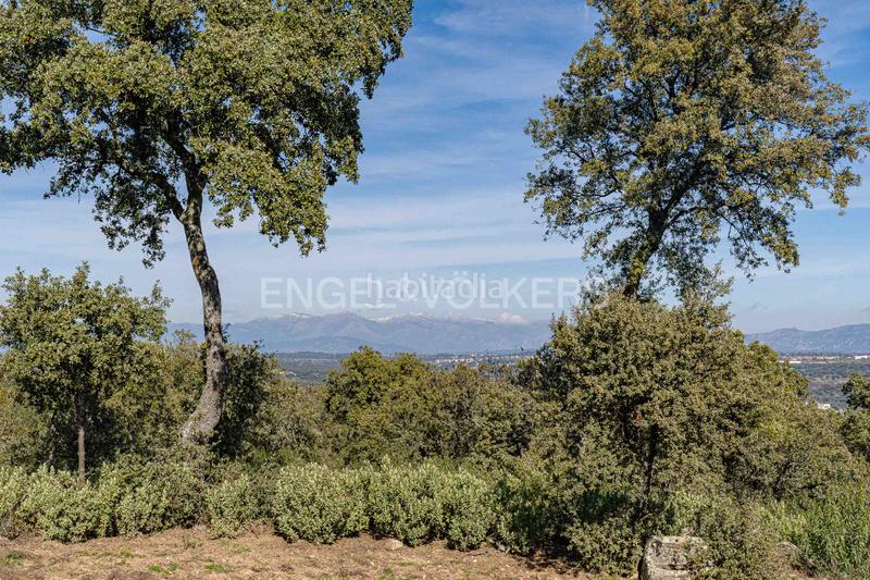 Foto a0824f10-4786-421e-8c8b-b6caaa9bacda. Mas avec chauffage parking dans Pino Alto-Navarredonda Valdemorillo