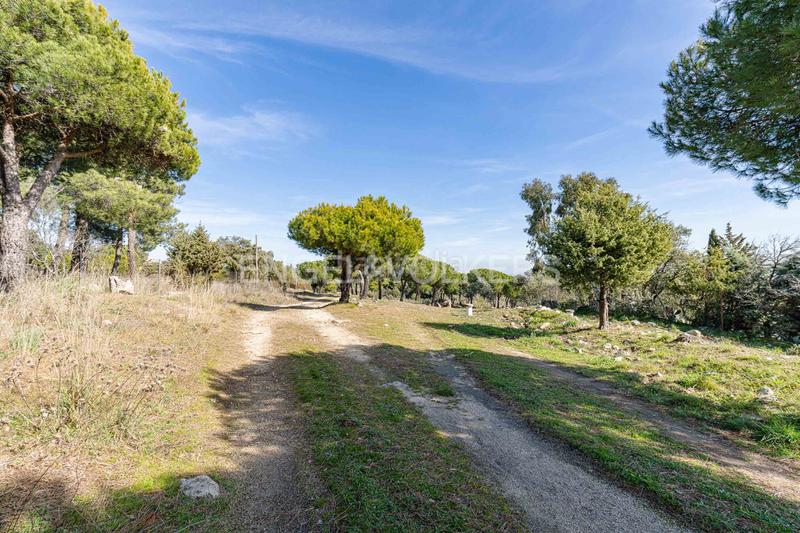 Foto c8a18b66-25cc-4536-b045-1f75575a8836. Mas avec chauffage parking dans Pino Alto-Navarredonda Valdemorillo