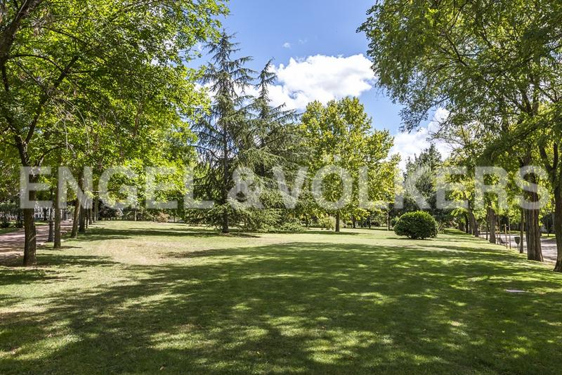 Foto a0542461-9a54-4b13-9cdd-072c0090da97. Alquiler apartamento amplio y luminoso piso en argelles en alquiler en Madrid