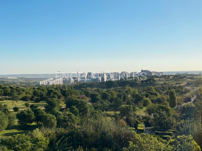 Foto b88c6a1d-49fb-497b-b992-2ff213e8d997. Apartamento lujoso piso con dos terrazas en valdebebas en Madrid