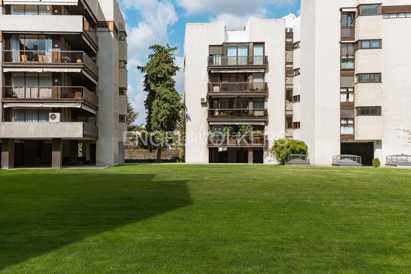 Foto ae04e0df-871d-4c80-b0b3-fe921eecab97. Apartamento amplio y luminoso piso en arturo soria en Madrid