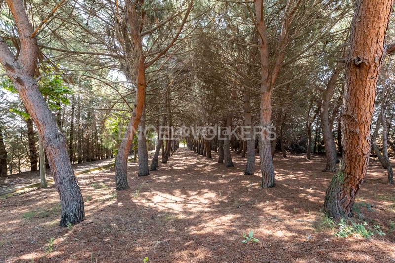 Foto b96fbab2-78eb-41a6-a9b7-c29889231c09. Maison avec chauffage parking piscine dans Santo Domingo