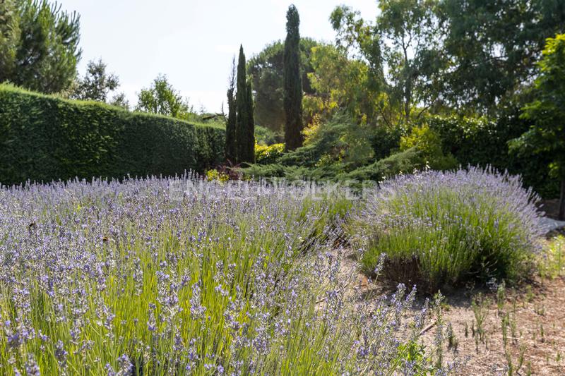Foto c390b3bd-5907-422e-baa6-732f01d732eb. Casa amb calefacció aparcament piscina a Bonanza Boadilla del Monte