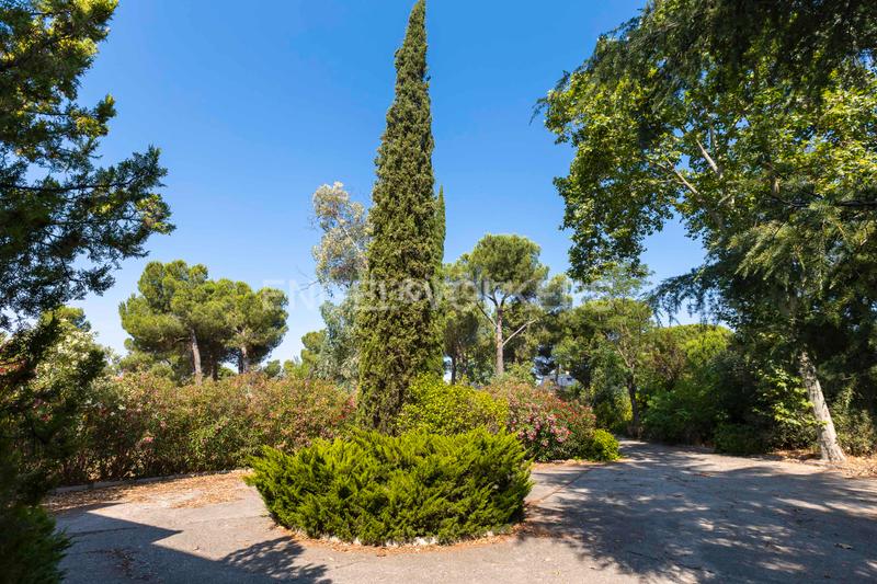 Foto 079a9a6e-e0f2-4601-87a7-000e6c680007. Maison avec chauffage parking piscine dans Somosaguas Pozuelo de Alarcón