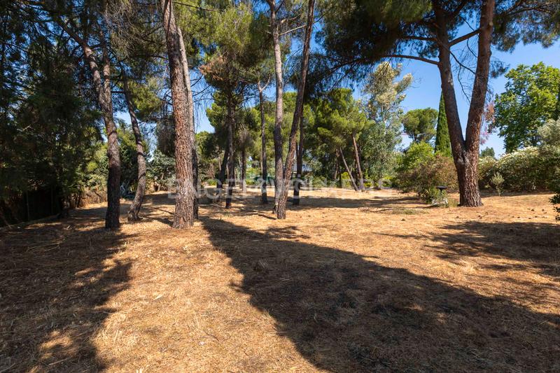 Foto 1a254fa8-a1f2-4fd2-8e91-a8a824152b20. Maison avec chauffage parking piscine dans Somosaguas Pozuelo de Alarcón