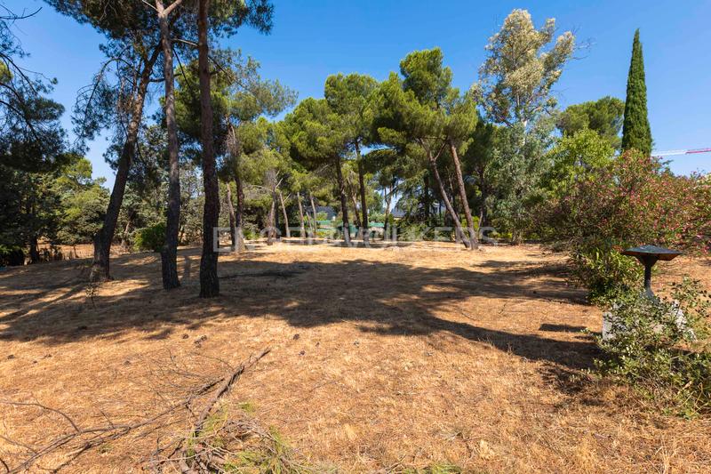 Foto 3d9c138b-5ef5-46f8-9af9-6b17e1ce9850. Maison avec chauffage parking piscine dans Somosaguas Pozuelo de Alarcón