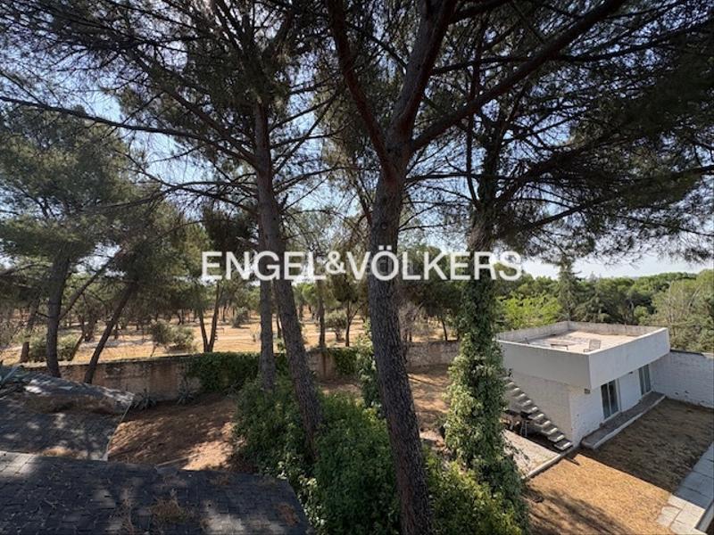 Foto a1d060f0-6e0f-4940-8704-18699763f509. Maison avec chauffage parking piscine dans Somosaguas Pozuelo de Alarcón