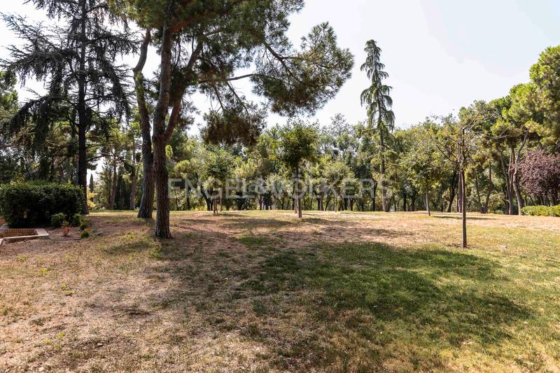 Foto 737a099c-ba65-4006-a5d0-79a28ac9acd0. Apartament amb calefacció aparcament a Estrella Madrid