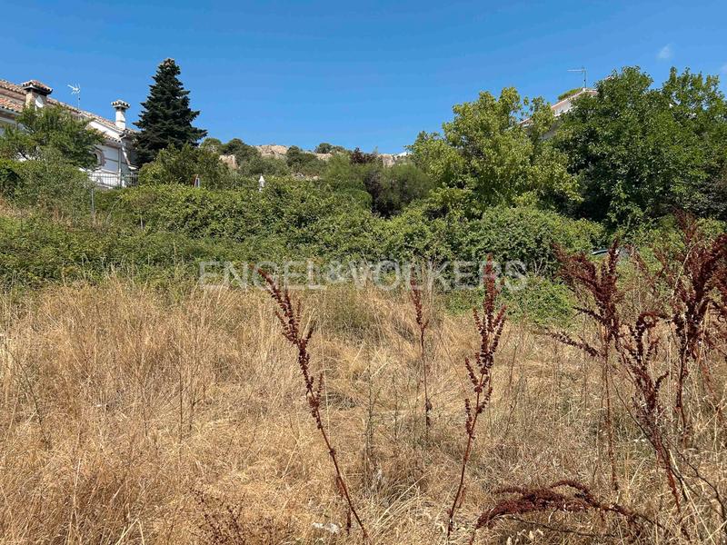 Foto b31d6a4f-84d8-463f-9f73-eb0a94076f02. Terrain résidentiel dans Manzanares el Real