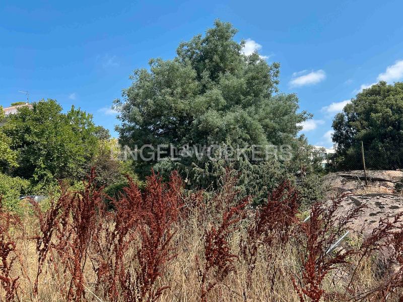 Foto b705f658-f23a-492b-8f60-cf7cf3383865. Terrain résidentiel dans Manzanares el Real