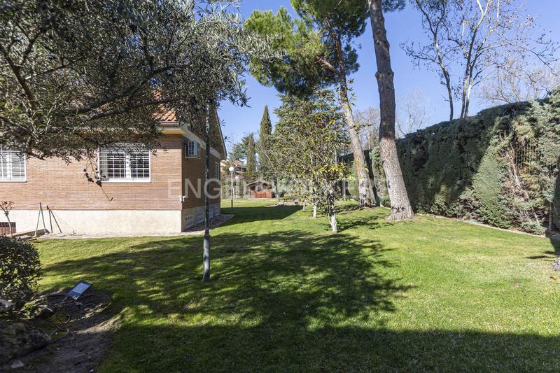 Foto e33f54e0-3236-4ba1-a3b5-fdf526769fcc. Alquiler casa magnífico chalet reformado en urb. valdepastores en Boadilla del Monte