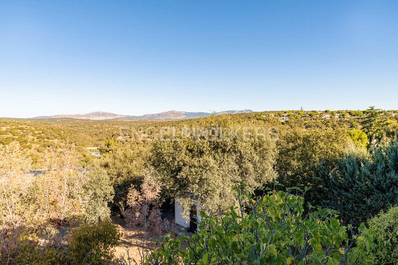 Foto 416a8179-37de-42f7-baf5-a5620ac1c455. Casa bonito chalet con encanto en Cerro Alarcón Valdemorillo