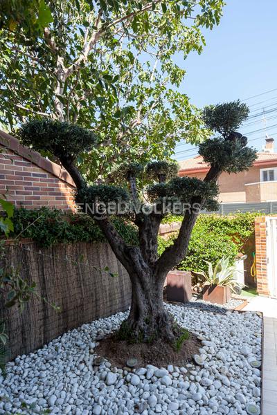 Foto e78c61b2-8de4-4cb5-9117-48fff84aa85b. Alquiler casa exclusivo chalet en conde de orgaz con piscina y jardines en Madrid