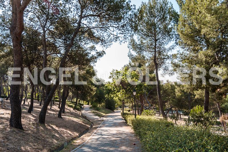 Foto 5d9af013-a7bd-49a9-a098-948193c2b44e. Piccolo appartamento con riscaldamento in Valdeacederas Madrid