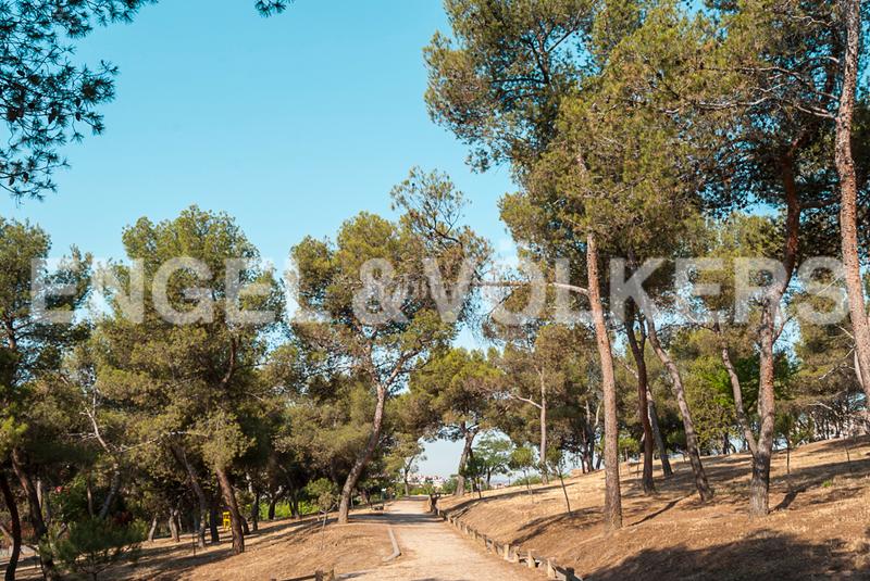 Foto 89facbd4-b6e5-4599-981b-0604d6337e69. Piccolo appartamento con riscaldamento in Valdeacederas Madrid