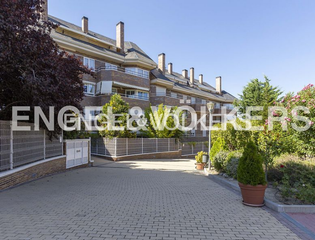 Apartament a Monte el Pilar. Exclusivo bajo con jardin en el monte del pilar