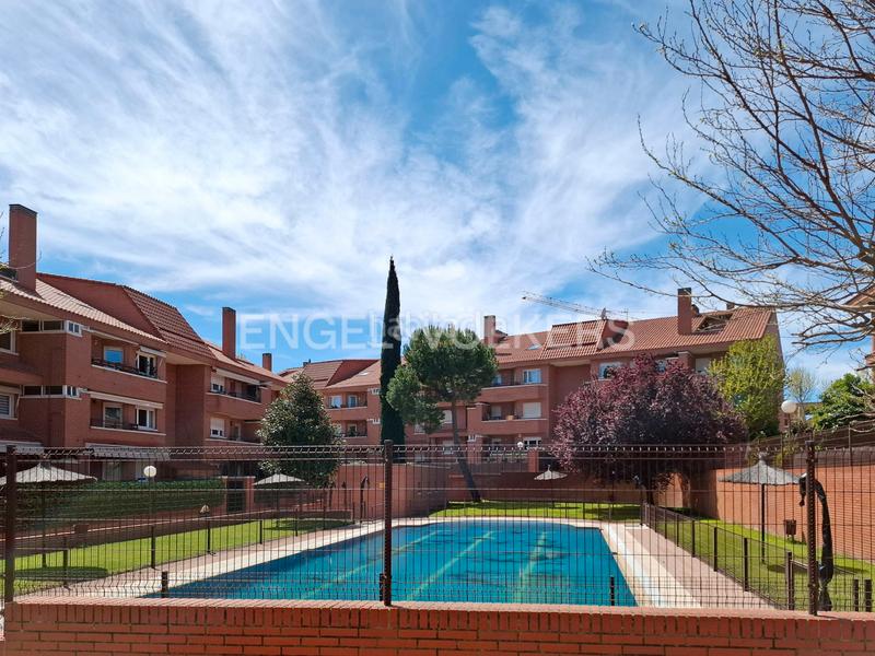 Foto 53145443-aa33-48fe-84a4-31d1d392c93d. Alquiler apartamento piso reformado con terraza en pozuelo en Pozuelo de Alarcón