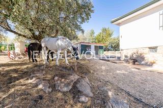 Mas à Mojadillas-Parque de las Infantas-El Paraiso. Magnifico chalet con finca caballos en valdemorillo