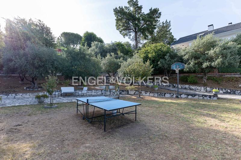 Foto b3fe475d-5f96-47ee-bd27-1ca6b4a356a6. Terreno residenziale in Casar (El)