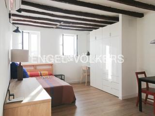 Alquiler Apartamento en Embajadores-Lavapiés. Luminoso estudio amueblado de 30m2 en lavapiés en alquiler