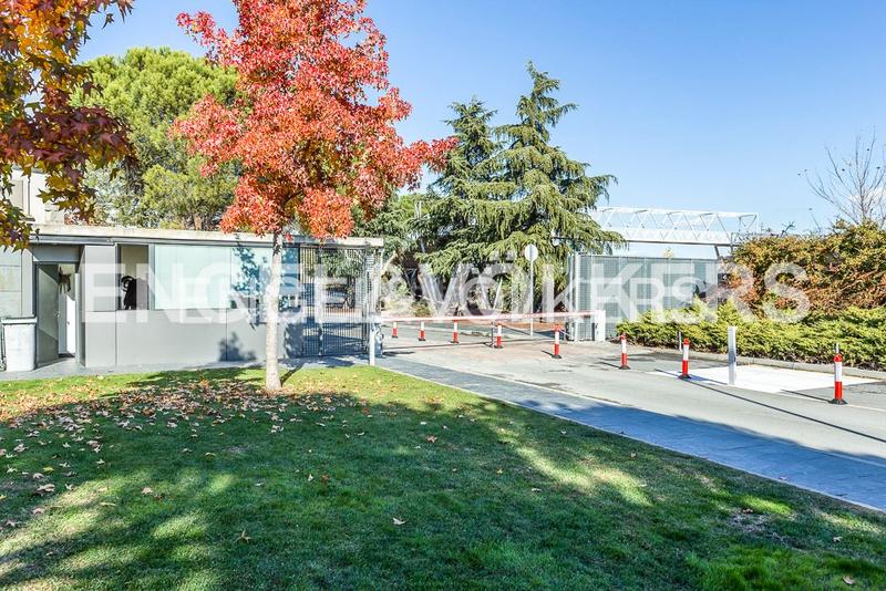 Foto b2075ad7-7345-4af3-ab9b-ade10ee3e6d9. Alquiler apartamento fabuloso piso en rosa martin los satelites en Majadahonda