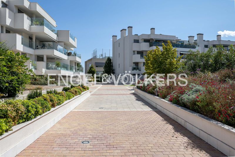 Foto b3046e20-8c7f-46be-be4b-ab30faa9cf7c. Apartament amb calefacció aparcament piscina a Valdepastores-Las Encinas Boadilla del Monte