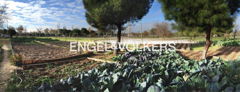 Foto f961b706-d1a8-434b-8647-285b629a6592. Lloguer apartament amb calefacció aparcament a Valdemarín Madrid