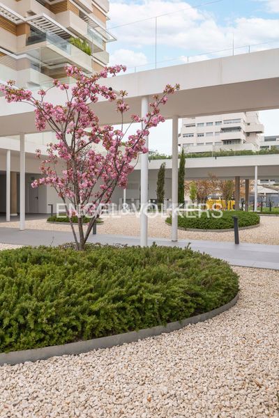 Foto 08361592-c816-4e75-85b9-f09378f706fd. Àtic amb calefacció aparcament piscina a Valdebebas - Valdefuentes Madrid