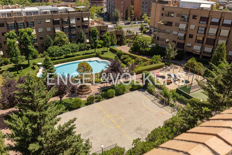 Foto 42daf087-4bd9-4670-9736-6203a769fec6. Àtic amb calefacció aparcament piscina a Conde Orgaz - Piovera Madrid