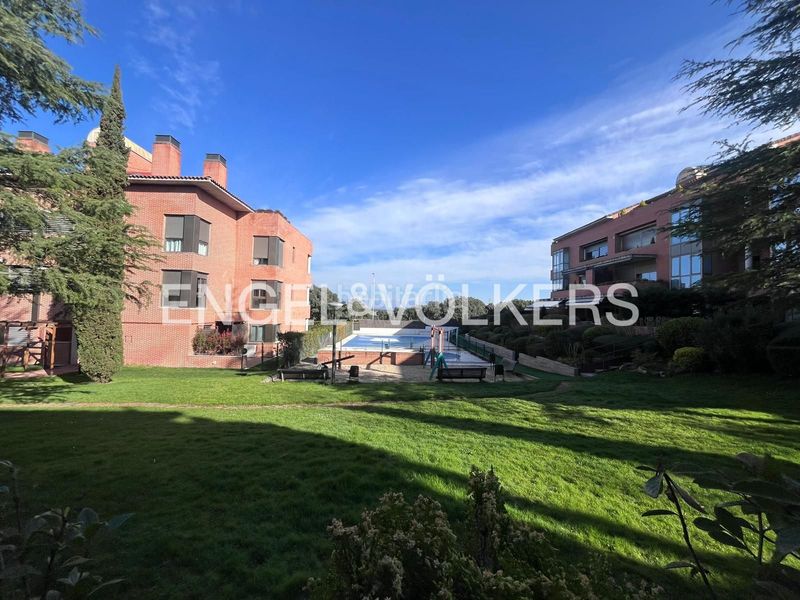 Foto cd3d1f0e-c635-429d-a3ac-3a0c7b104a03. Planta baixa amb calefacció aparcament piscina a Madrid