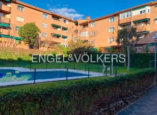 Alquiler Piso en Norte. Exclusivo piso en alquiler con terraza en majadahonda