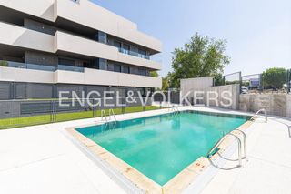Appartement à El Cantizal