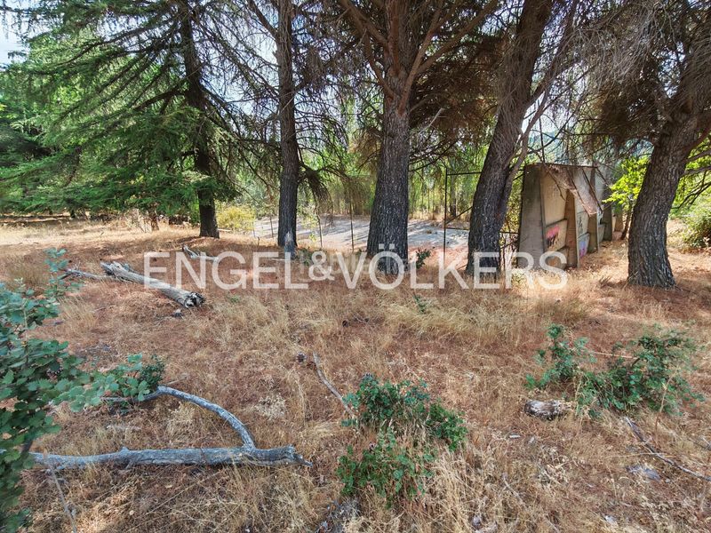 Foto e20e8fac-2b2b-4377-ac3d-0ef868819dac. Residential plot in Collado Mediano