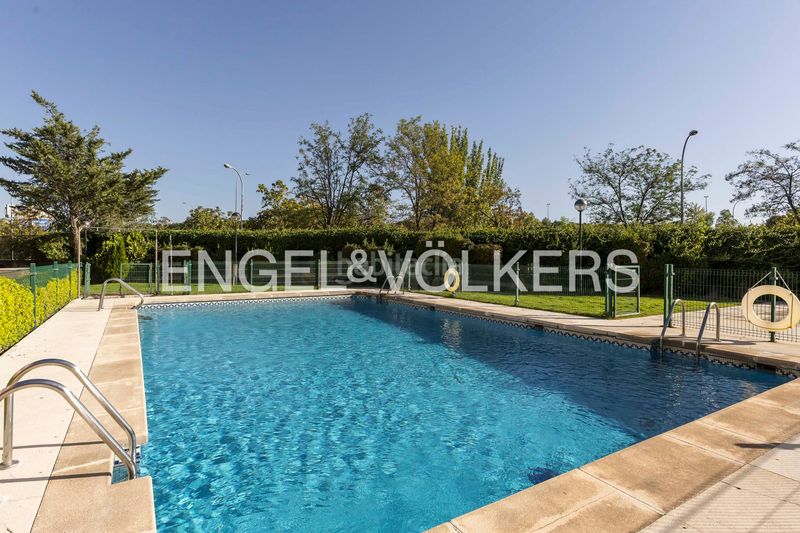 Foto d07ff6e1-31e9-4153-a1c6-792f4781fcdc. Àtic amb calefacció aparcament piscina a Palomas Madrid