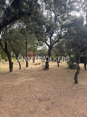 Casa a Raya del Palancar-Guadamonte. Espectacular parcela en villanueva de la cañada