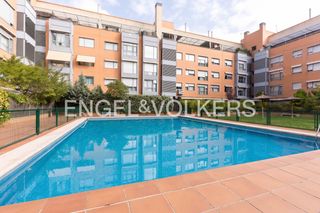 Lloguer Pis  Calle pasifae. Exclusivo y moderno ático exterior de 2 dormitorios, piscina y p